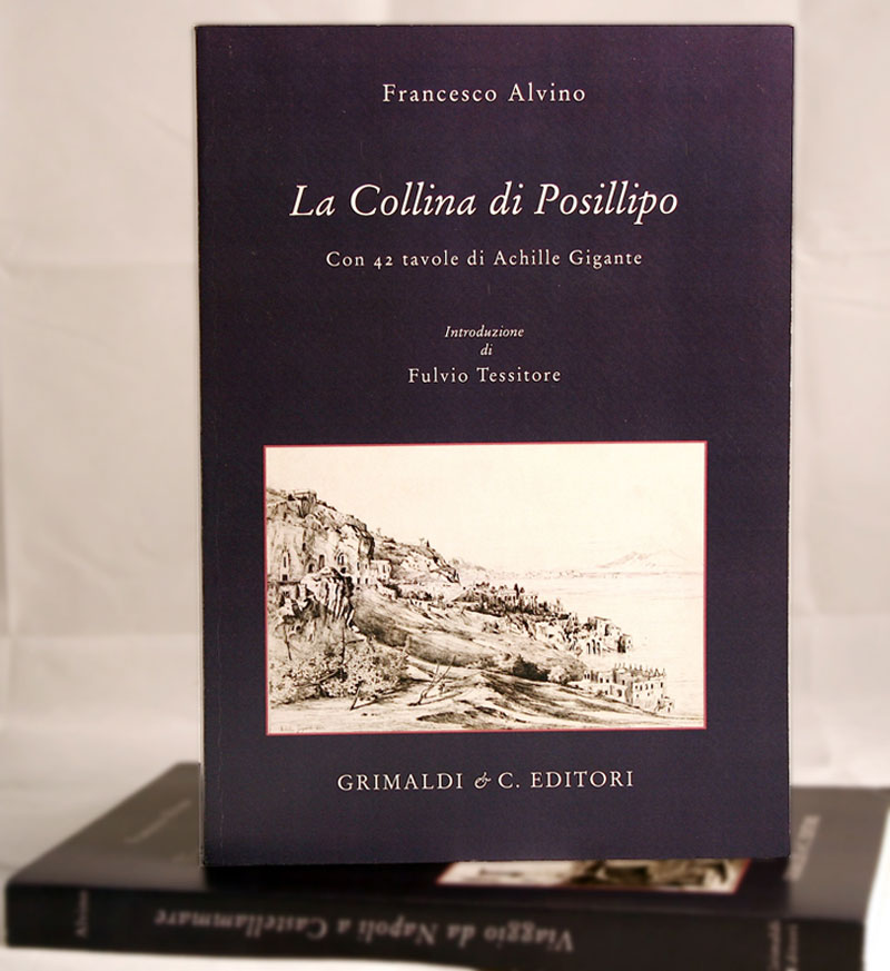 La Collina di Posillipo Ristampa della rara edizione del 1845  A cura di Fulvio Tessitore antichi treviso antiquaria leggere antiche 